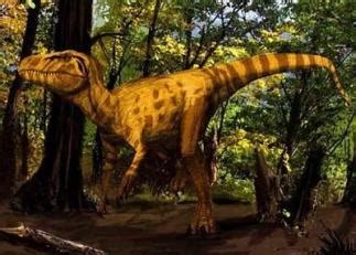 地球史上体型最大的五种恐龙排行！_龙的