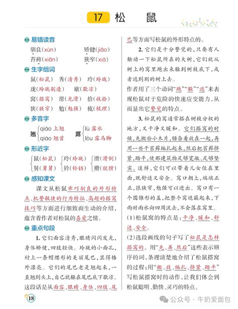 圣瓦伦丁 的图像结果
