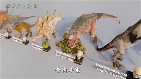 恐龙有多大？3D尺寸对比动画告诉你_腾讯视频