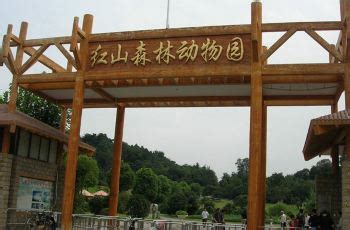 南京红山森林动物园游玩攻略-百度经验