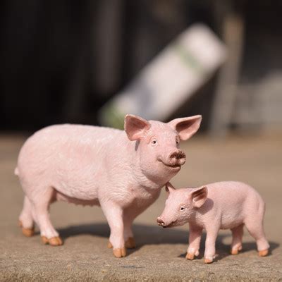 德国思乐猪崽站立家畜农场小猪母猪仿真动物玩具模型塑胶摆件-淘宝网