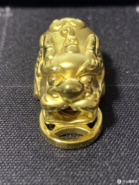 吞金兽图片