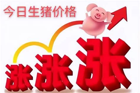 今日猪价行情价格表生猪今日报价 最近猪价为什么跌得这么厉害? - 中国基因网