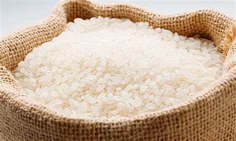 知识分享丨你对买的米了解多少？ - 知乎