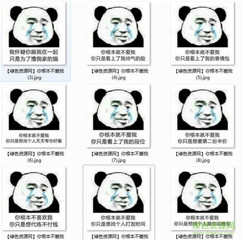 你根本就不爱我表情包下载-熊猫头你根本不喜欢我表情包下载-绿色资源网