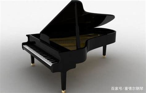 2023钢琴十大品牌排行榜-钢琴哪个牌子好 - 牌子网