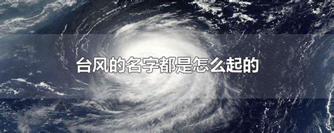 关于台风的名字，原来有这么多故事|界面新闻 · JMedia