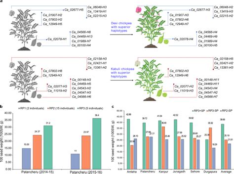 Nature & Science论文年度盘点，这些高校发文最多