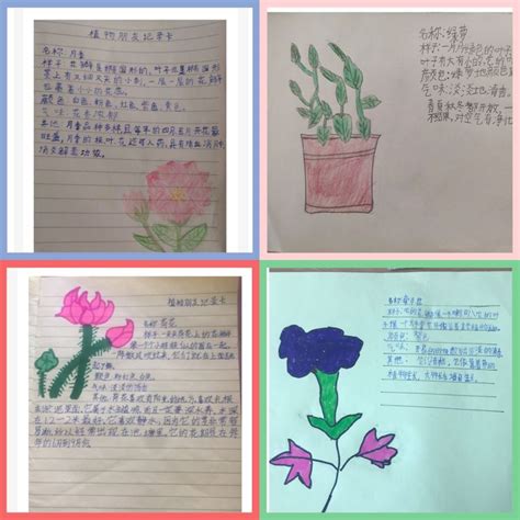 小学三年级描写植物仙人掌的作文300字Word模板下载_编号lvbpagpg_熊猫办公