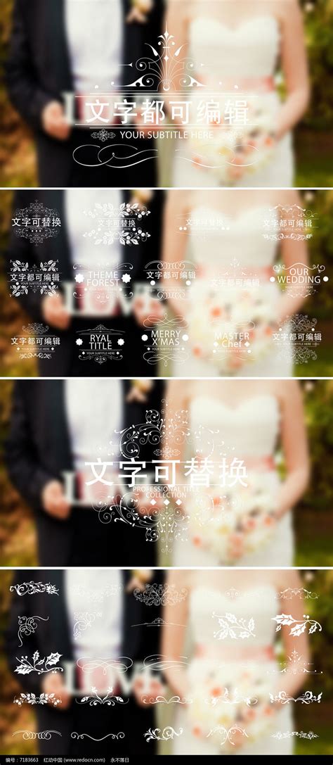 浪漫唯美婚礼人名条标题字幕ae模板下载_红动中国