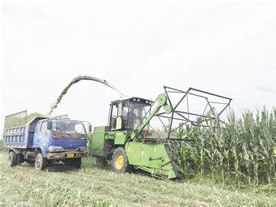 青岛将建全国主要农作物生产全程机械化示范市-青岛西海岸新闻网