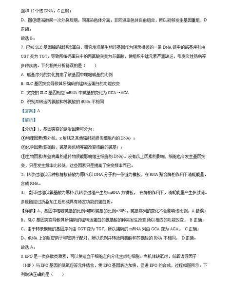 重庆市巴蜀中学2023届高三化学模拟预测试题（Word版附解析）-教习网|试卷下载