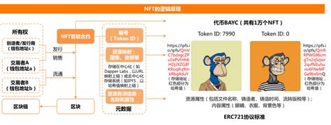 NFT在中国走向何处？ 来源：国信证券。一、NFT属性及产业链环节1、当前国内NFT价值收藏属性强于投资属性。国内NFT在所有权及二次流转上 ...