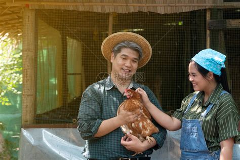 夫妻在鸡蛋养场工作男人拿着母鸡看上去既快乐又健康草两个都绿色高清图片下载-正版图片307858615-摄图网