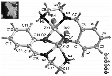 含五配位Zn2+离子的Zn(II)-乙二胺配合物及其制备方法与流程