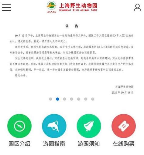 2022福建三明宁化县教育局招聘顶岗教师公告【60人】