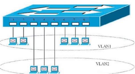 交换基础（VLAN、TRUNK、VLAN间路由）_超全学习笔记|网络干货知识-思博网络SPOTO