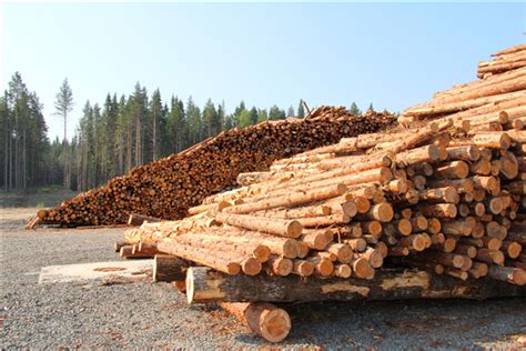 木材交易市场的现存困难和问题_行业资讯_木头云
