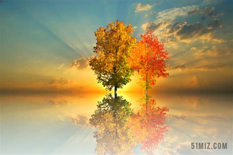 秋季 日落 大气 金色的秋天 光 太阳 傍晚的天空 秋天的心情图片免费下载 - 觅知网