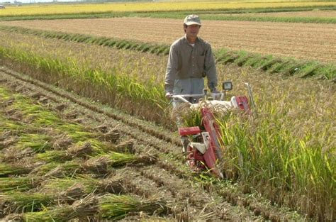 日本是如何实现农业现代化，而且整体生产达到了世界先进水平 - 知乎