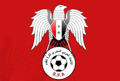 叙利亚足协：将争取叙利亚球迷入场，门票销售权属于中方_PP视频体育频道