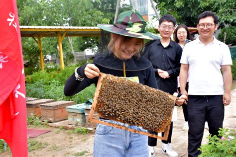 走进蜜蜂王国 领略养蜂文化——经济管理学院“非遗助农产业营销”指导实践团走进农户