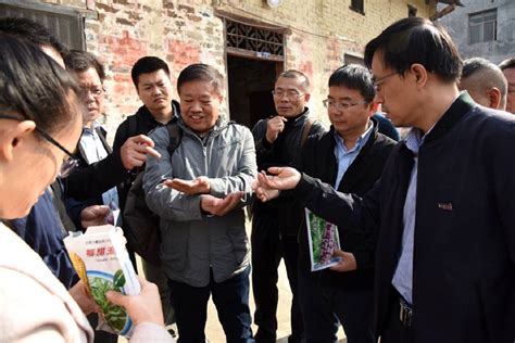 湖北省文化产业商会赴咸宁马桥镇，积极推进乡村振兴项目的落实 - 知乎