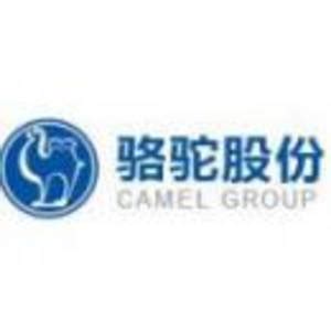 骆驼集团旗下Camel Power品牌荣获国际Superbrands权威认证_ 行业之窗-亚讯车网