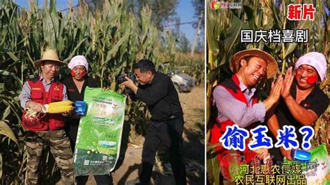 农民互联网微电影《偷玉米？》助兴国庆节-原河北农民报官网