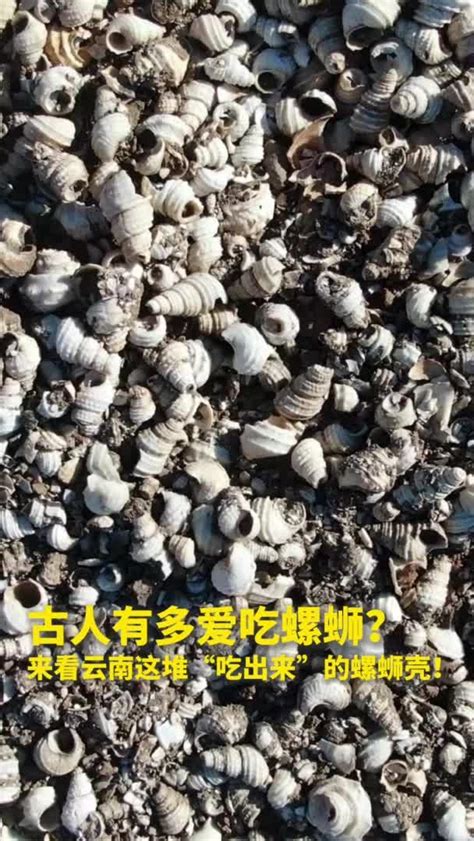 千年嗦嗦史！古人吃剩的螺蛳壳堆成一座山_凤凰网视频_凤凰网