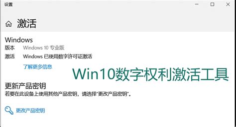 win10数字许可证激活工具下载-windows10数字永久激活工具下载v3.7.0 绿色版-绿色资源网