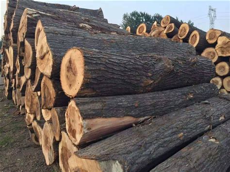 怎么在网上收购木材，收购木材需要什么手续？_行业资讯_木头云