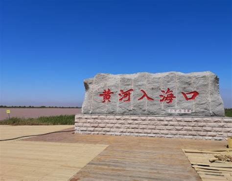 截至7月底 黄河口生态旅游区部分景点封闭改造_东营民生_东营_齐鲁网