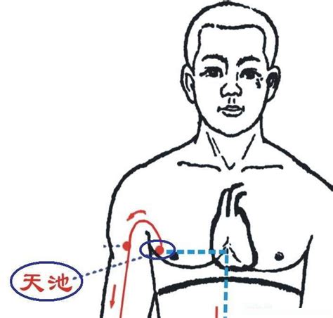 心包经经络图走向图片 心包经经络图走向图片