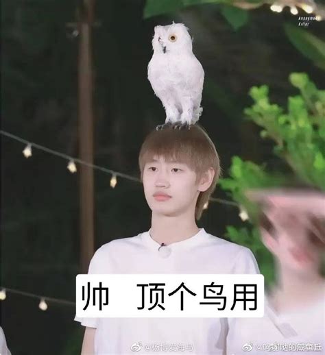 AK刘彰图片