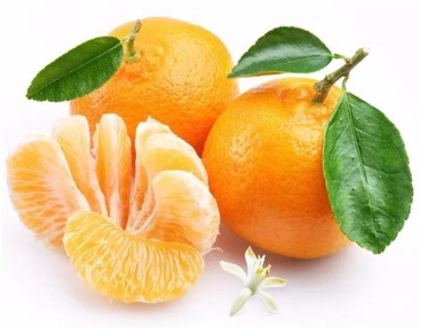 橘子皮上面的白霜状物还能吃吗，橘子表皮有白色粉末是什么-食品特产 - 货品源货源网