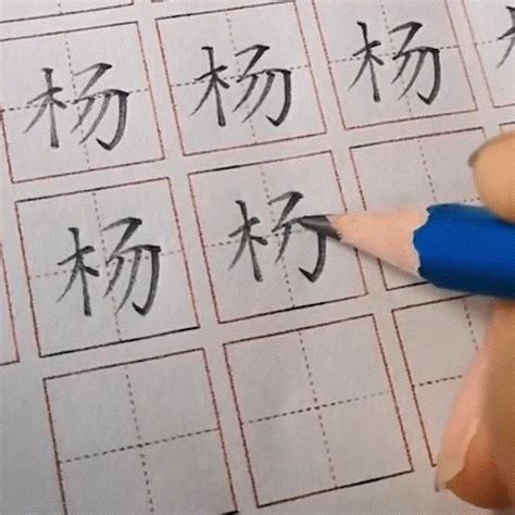 窑湾镇中心小学举行“规范写字，写漂亮字”写字比赛活动_校园之窗_新沂教育