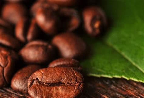 了解咖啡，从一颗咖啡豆开始 - 知乎