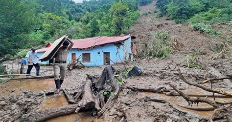 印度北部暴雨引发山洪，已致至少49人死亡、数十人失踪|印度|暴雨|山体滑坡_新浪新闻