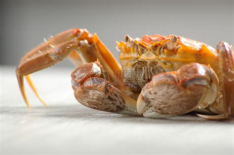 盘点常见的10种螃蟹，这些螃蟹你都分清了吗？_缘具