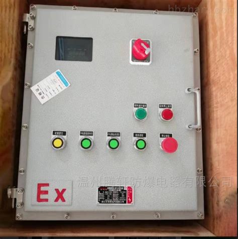BXK-T电机水泵防爆控制箱 挂墙式防爆电控箱-环保在线