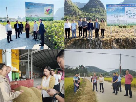 贵州凤冈：桑蚕产业发展要以市场为导向 注重提质增效-广西林胜堂蚕具有限公司官网