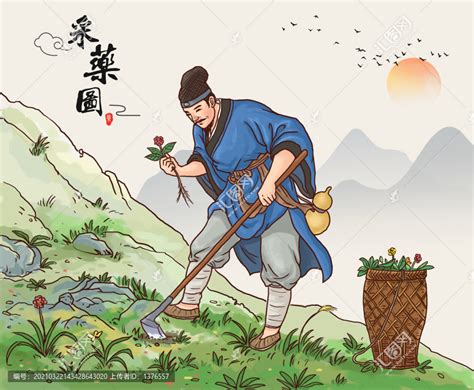 中医养生药师上山采药插画图片-千库网