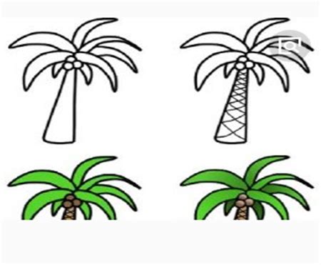 【椰子树简笔画】椰树简笔画图片_太平洋亲子网