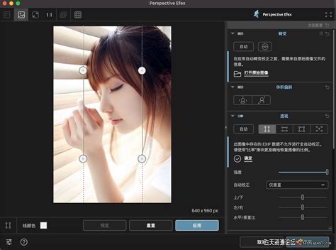 Nik Collection 5.2.1 中文激活版 Nik插件滤镜套装 Win版本下载_易光易影