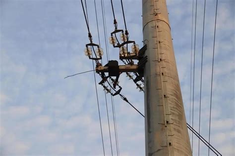 上海一220千伏输电线遭雷击，电力职工今晨5点上铁塔不断电修复