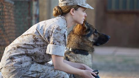电影《战犬瑞克斯》梅根利维与战犬瑞克斯搭档拯救了许多人的生命_凤凰网视频_凤凰网