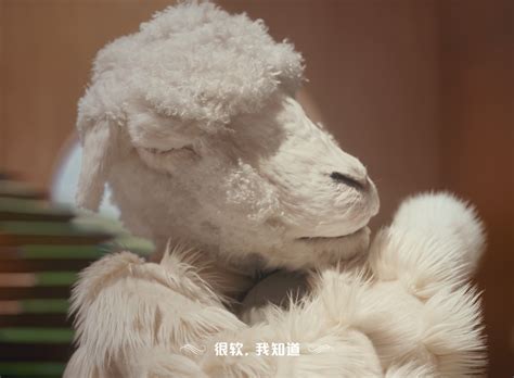 山羊毛【图片 价格 包邮 视频】_淘宝助理