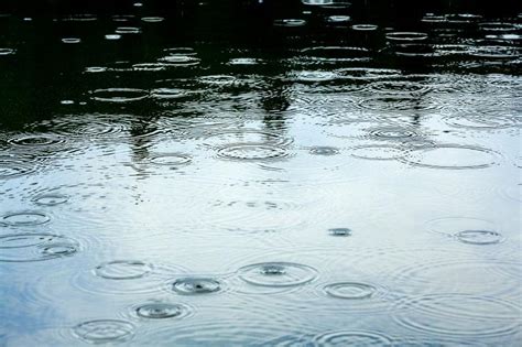 雨水三候是什么意思 雨水节气是哪三候 _八宝网