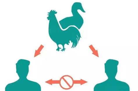 H7N9禽流感挂图_(N9类),预防人感染H7N9禽流感科普挂图, 0,美彩标语商城